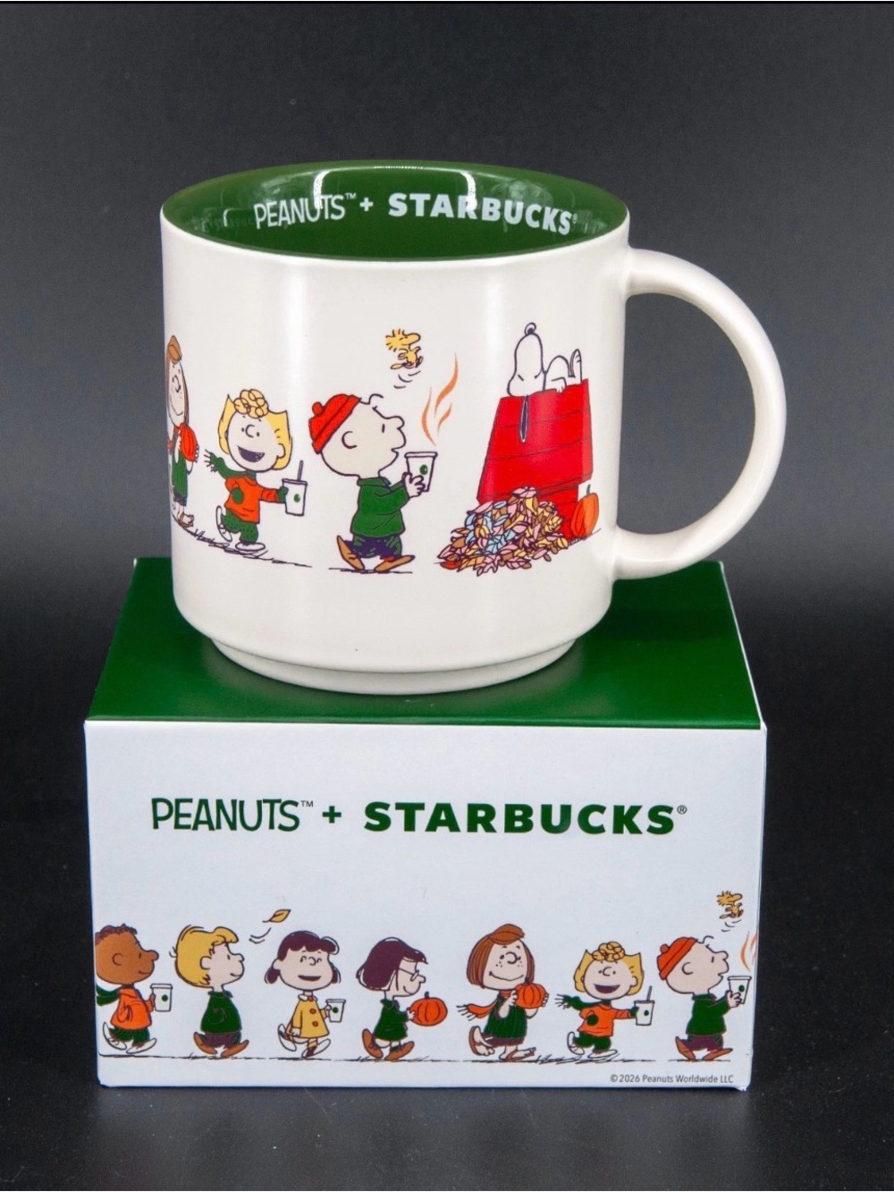 Starbucks Peanuts Ceramic Mug in White and Green with Colorful Character Print